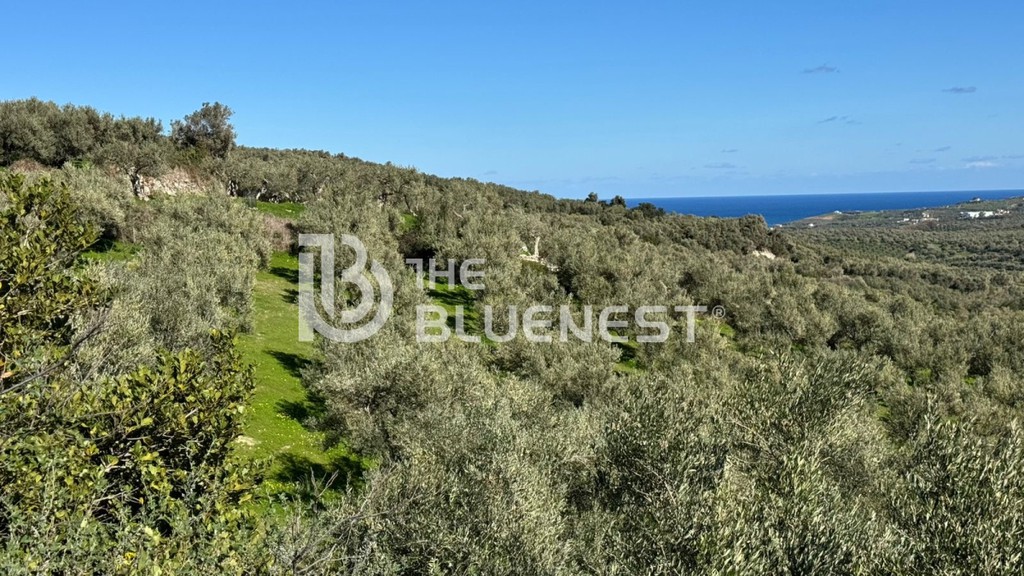 Οικόπεδο 5.000 τ.μ. πρός πώληση, Ν. Χανίων, Γεωργιούπολη