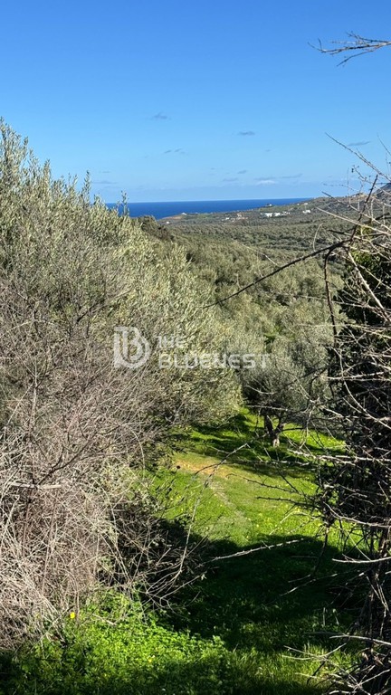 Οικόπεδο 5.000 τ.μ. πρός πώληση, Ν. Χανίων, Γεωργιούπολη
