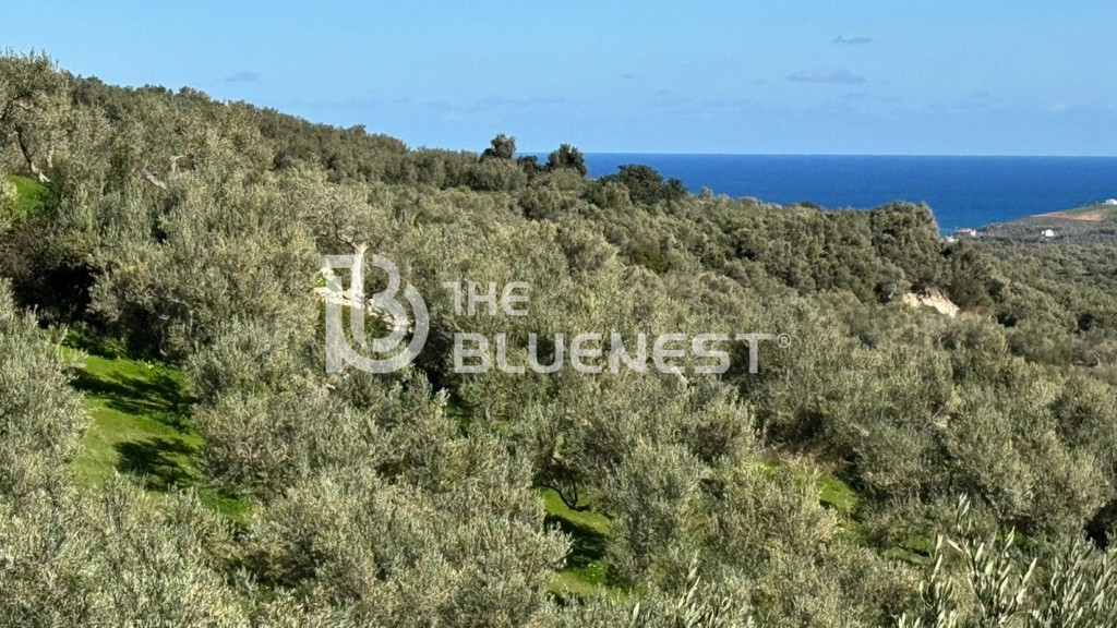 Οικόπεδο 5.000 τ.μ. πρός πώληση, Ν. Χανίων, Γεωργιούπολη