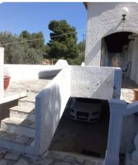 Διαμέρισμα 377 τ.μ. για πώληση, Αργολίδα, Κρανίδι-thumb-12