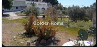 Διαμέρισμα 377 τ.μ. για πώληση, Αργολίδα, Κρανίδι-thumb-15