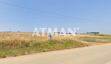 Αγροτεμάχια 12.000 τ.μ. πρός πώληση