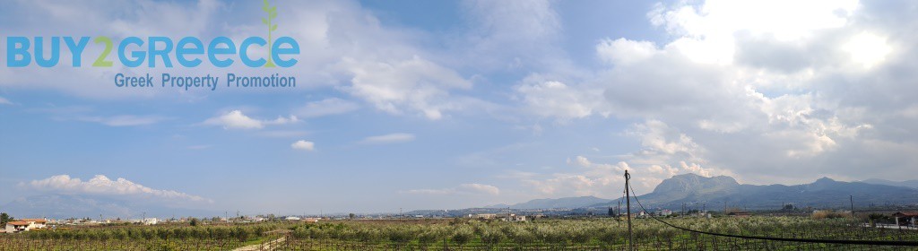 Αγροτεμάχια 9.500 τ.μ. προς πώληση, Λέχαιο