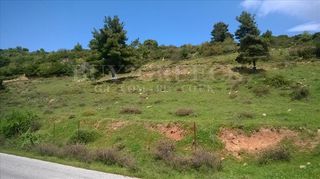 Αγροτεμάχια 14.050 τ.μ. προς πώληση, Σέτα-thumb-6