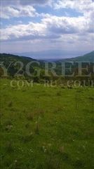 Αγροτεμάχια 14.050 τ.μ. προς πώληση, Σέτα-thumb-12