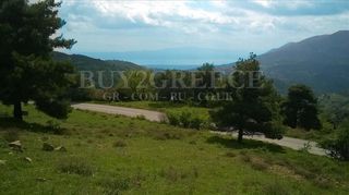 Αγροτεμάχια 14.050 τ.μ. προς πώληση, Σέτα-thumb-11