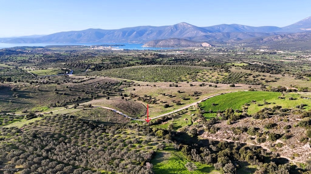 Συγκρότημα διαμερισμάτων 3.967 τ.μ. για πώληση, Αργολίδα, Κρανίδι