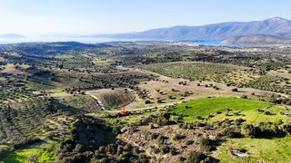 Συγκρότημα διαμερισμάτων 3.967 τ.μ. για πώληση, Αργολίδα, Κρανίδι-thumb-11
