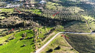 Συγκρότημα διαμερισμάτων 3.967 τ.μ. για πώληση, Αργολίδα, Κρανίδι-thumb-14