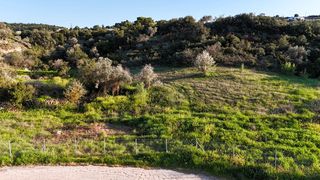 Συγκρότημα διαμερισμάτων 3.967 τ.μ. για πώληση, Αργολίδα, Κρανίδι-thumb-19