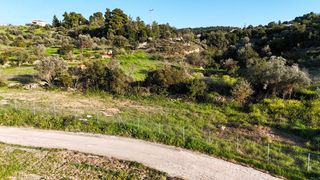 Συγκρότημα διαμερισμάτων 3.967 τ.μ. για πώληση, Αργολίδα, Κρανίδι-thumb-22