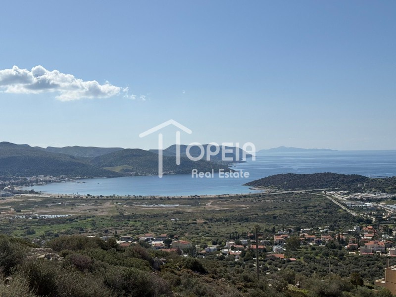 Οικόπεδο 1.160 τ.μ. πρός πώληση, Αττική - Υπόλοιπο, Ανάβυσσος