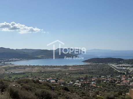 Οικόπεδο 1.160 τ.μ. πρός πώληση