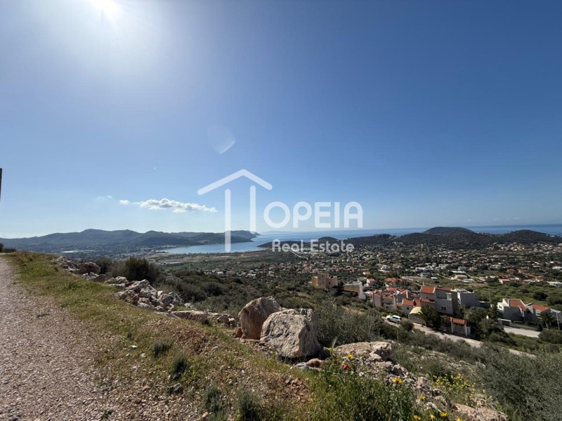 Οικόπεδο 1.160 τ.μ. πρός πώληση, Αττική - Υπόλοιπο, Ανάβυσσος