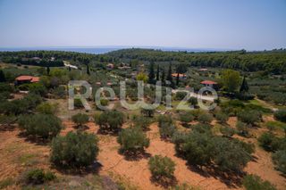 Αγροτεμάχια 3.675 τ.μ. για πώληση