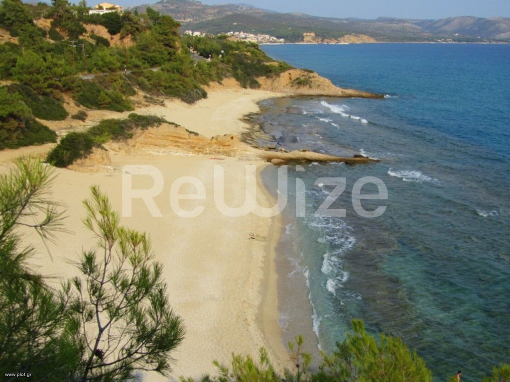 Αγροτεμάχια 4.500 τ.μ. προς πώληση, Ιερισσός