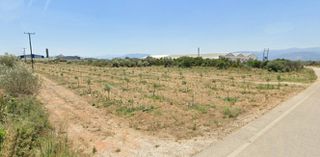 Αγροτεμάχια 5.277 τ.μ. για πώληση