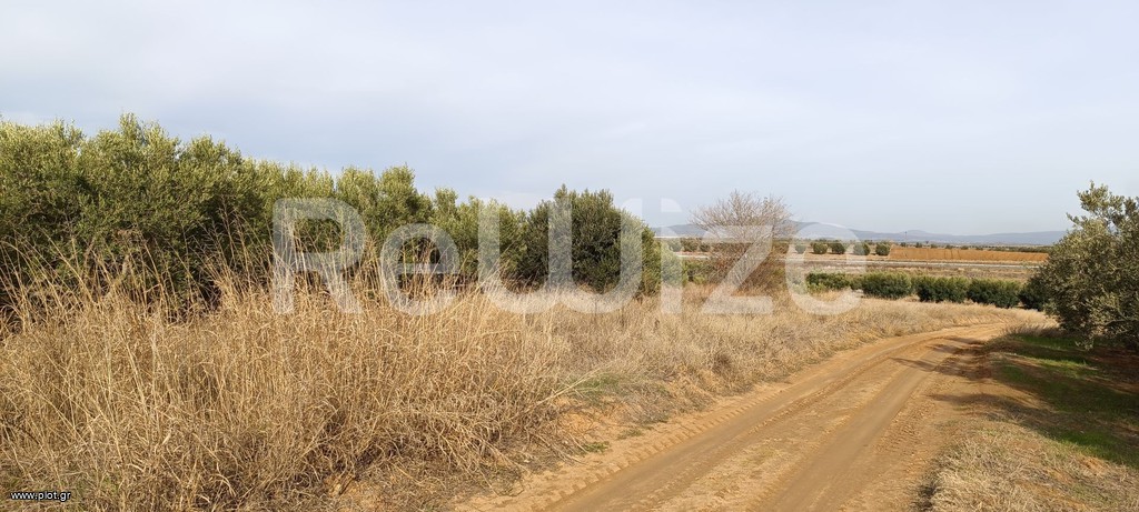 Αγροτεμάχια 4.000 τ.μ. προς πώληση, Φλογητά
