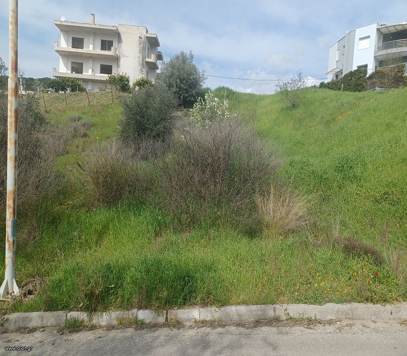 Οικόπεδο 541 τ.μ. πρός πώληση, Φθιώτιδας, Λαμία