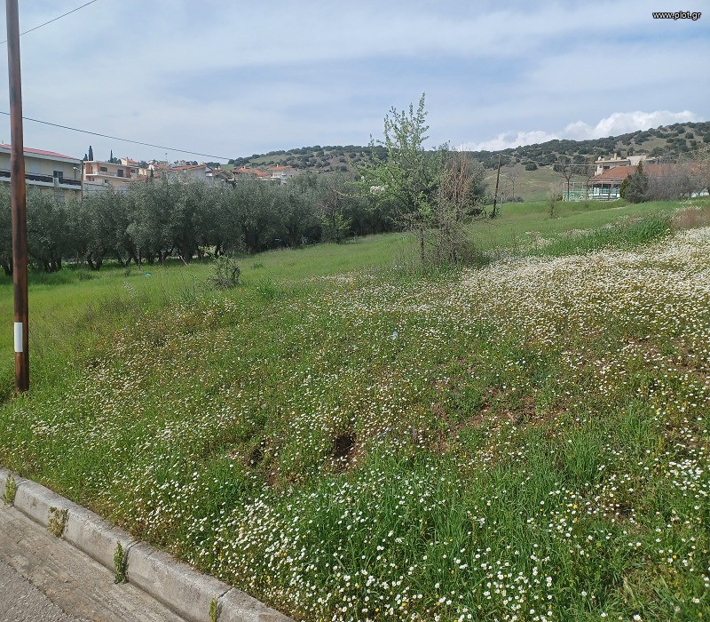 Οικόπεδο 541 τ.μ. πρός πώληση, Φθιώτιδας, Λαμία