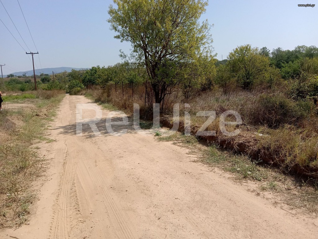 Αγροτεμάχια 1.262 τ.μ. προς πώληση, Τρυπητή Χαλκιδικής