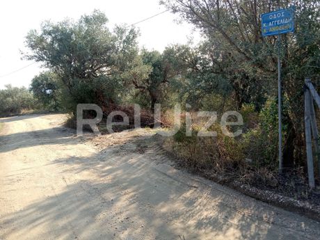 Αγροτεμάχια 2.510 τ.μ. προς πώληση