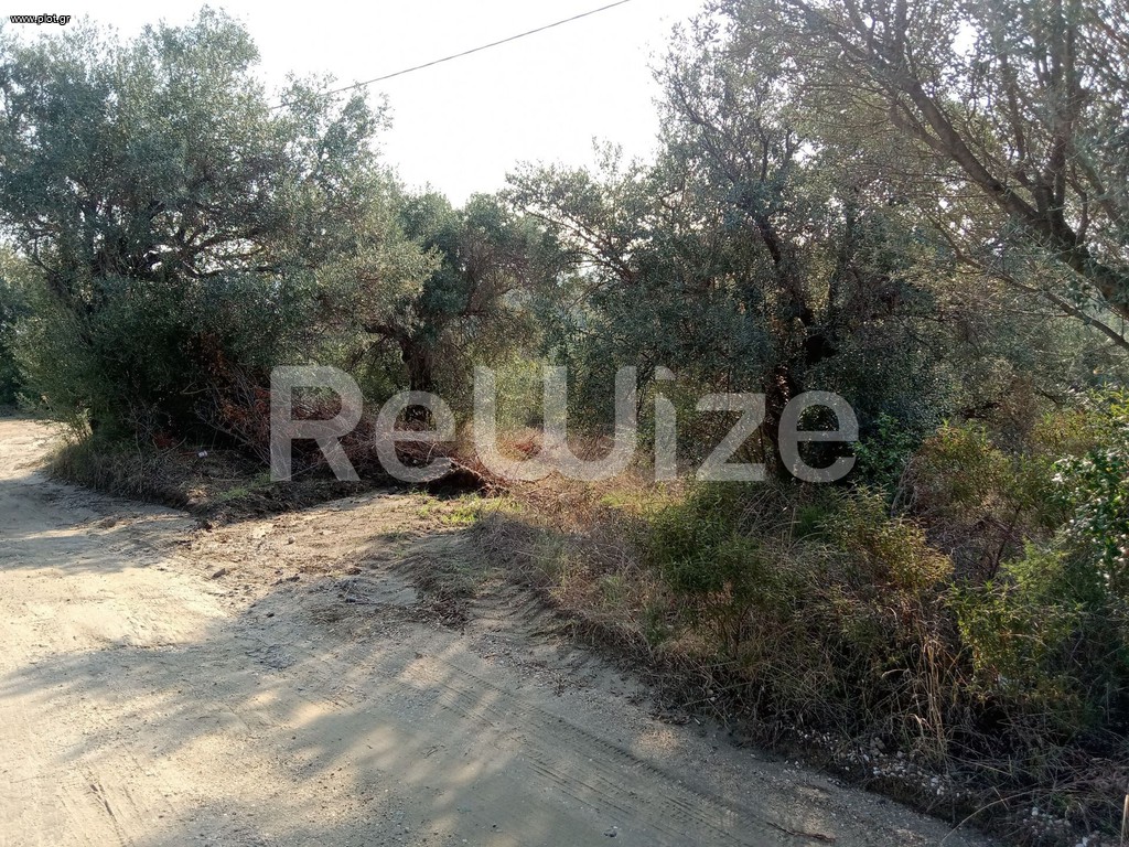 Αγροτεμάχια 2.510 τ.μ. προς πώληση, Αμμουλιανή
