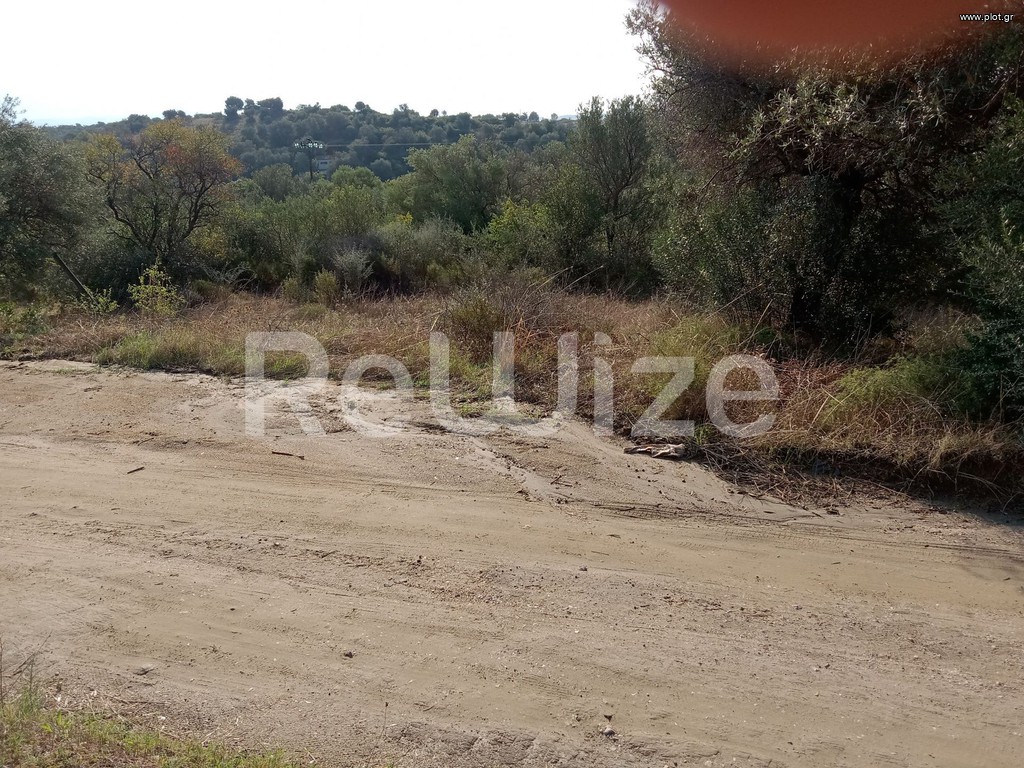 Αγροτεμάχια 2.510 τ.μ. προς πώληση, Αμμουλιανή