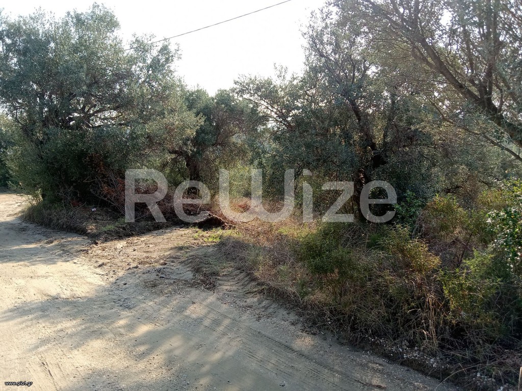 Αγροτεμάχια 2.510 τ.μ. προς πώληση, Αμμουλιανή