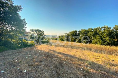 Αγροτεμάχια 6.160 τ.μ. προς πώληση