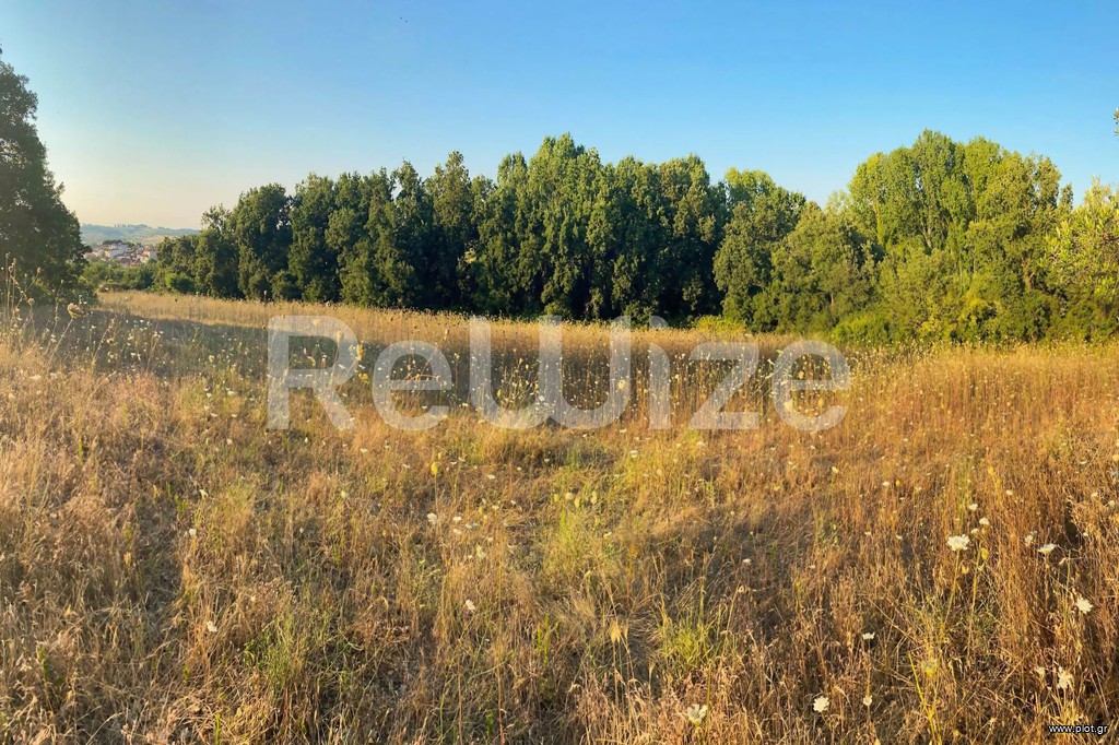 Αγροτεμάχια 6.160 τ.μ. προς πώληση, Κασσάνδρεια