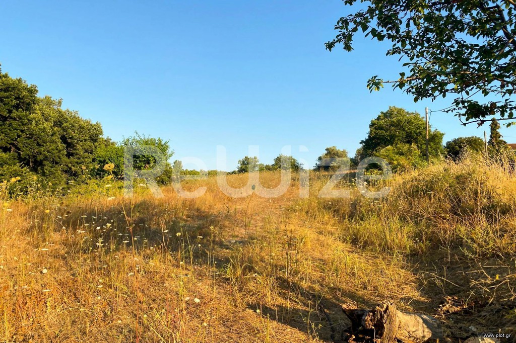 Αγροτεμάχια 6.160 τ.μ. προς πώληση, Κασσάνδρεια