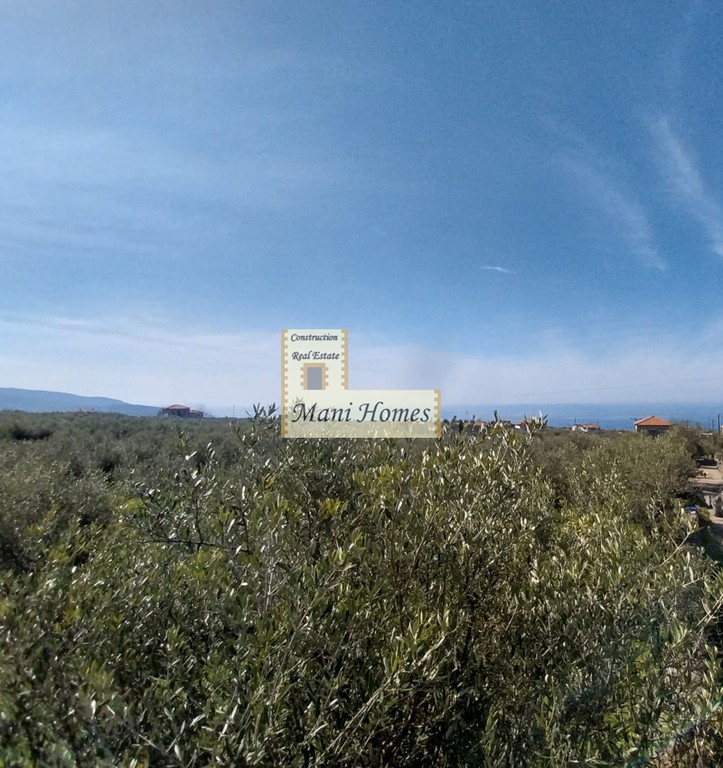 Οικόπεδο 1.669 τ.μ. πρός πώληση, Μεσσηνία, Λεύκτρος