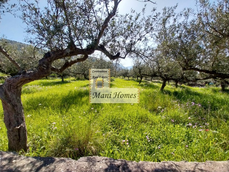 Οικόπεδο 1.669 τ.μ. πρός πώληση, Μεσσηνία, Λεύκτρος