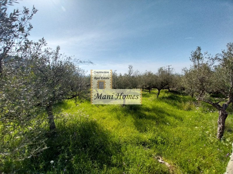 Οικόπεδο 1.669 τ.μ. πρός πώληση, Μεσσηνία, Λεύκτρος