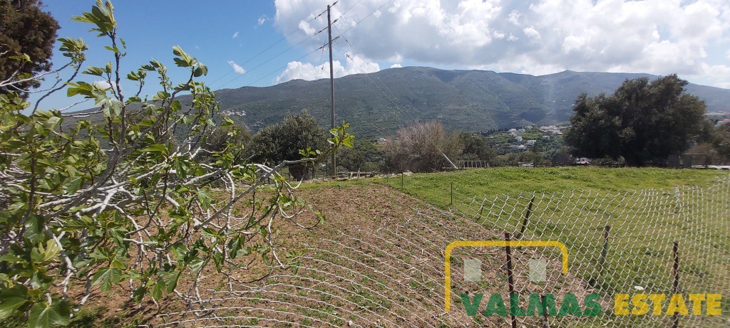 Οικόπεδο 8.301,39 τ.μ. πρός πώληση, Κυκλάδες, Άνδρος