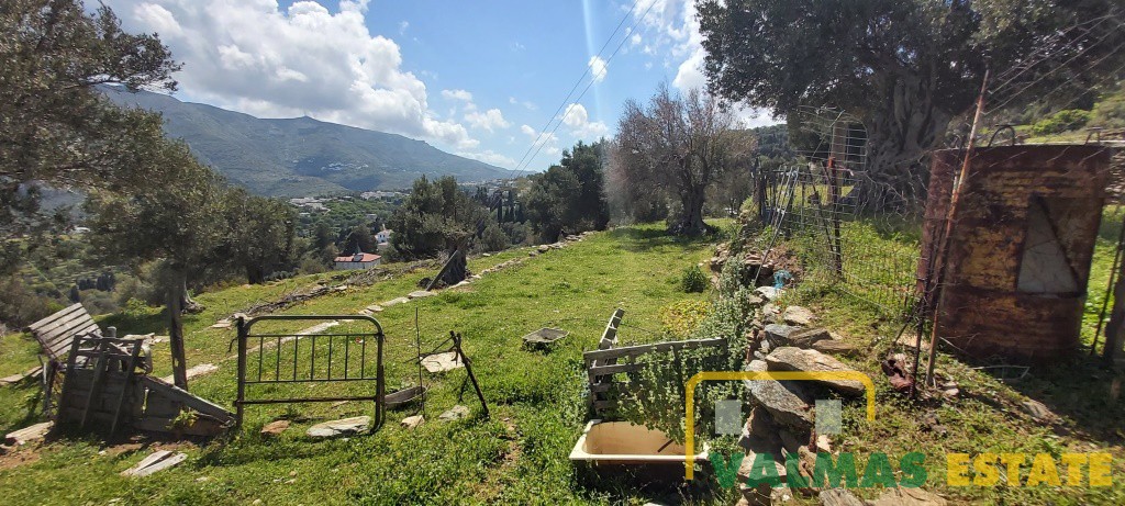 Οικόπεδο 8.301,39 τ.μ. πρός πώληση, Κυκλάδες, Άνδρος