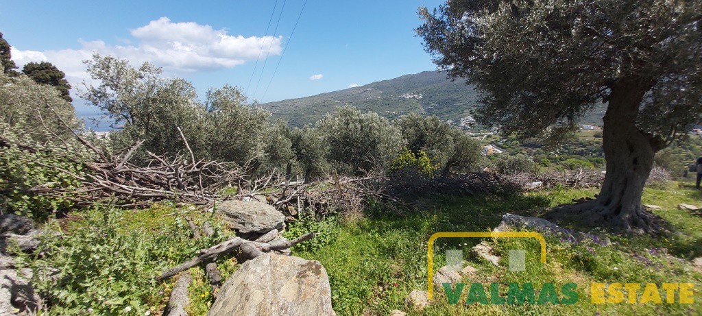 Οικόπεδο 8.301,39 τ.μ. πρός πώληση, Κυκλάδες, Άνδρος