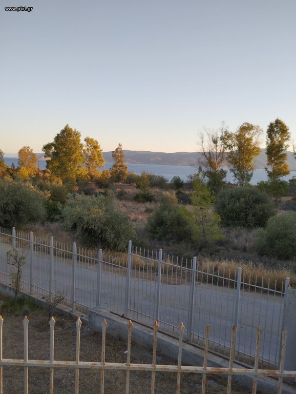 Οικόπεδο 300 τ.μ. πρός πώληση, Κορινθία, Άγιοι Θεόδωροι