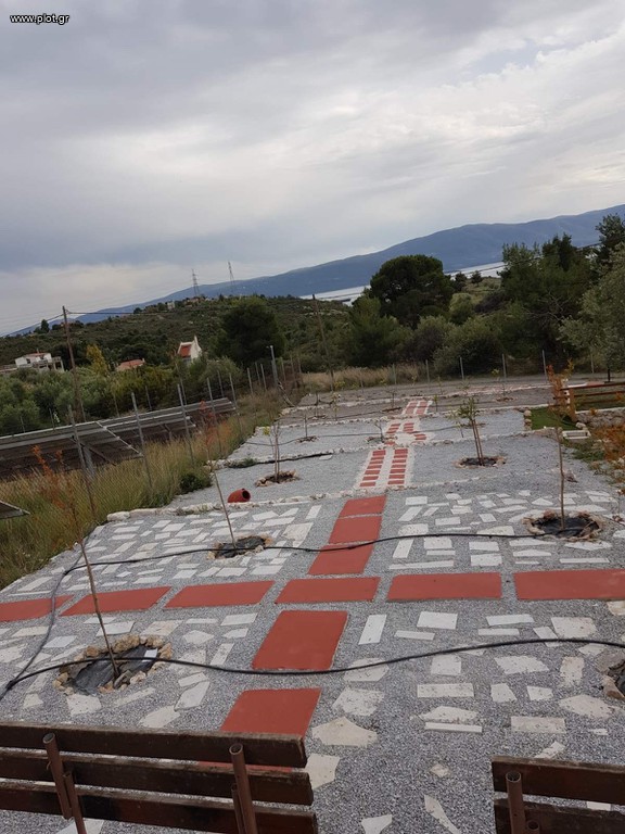 Οικόπεδο 2.100 τ.μ. πρός πώληση, Κορινθία, Άγιοι Θεόδωροι
