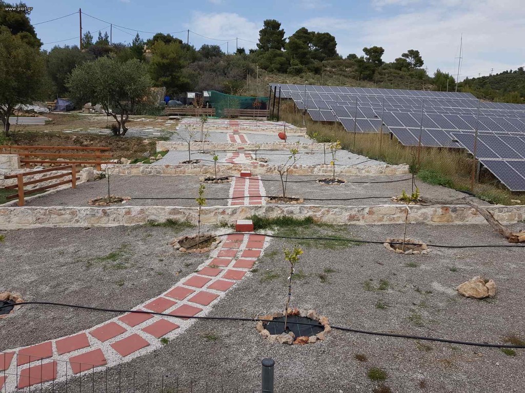 Οικόπεδο 2.100 τ.μ. πρός πώληση, Κορινθία, Άγιοι Θεόδωροι