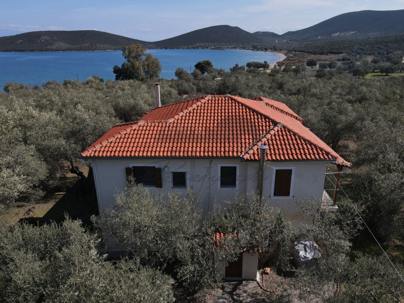Μονοκατοικία 235 τ.μ. πρός πώληση, Μαγνησία, Σούρπη