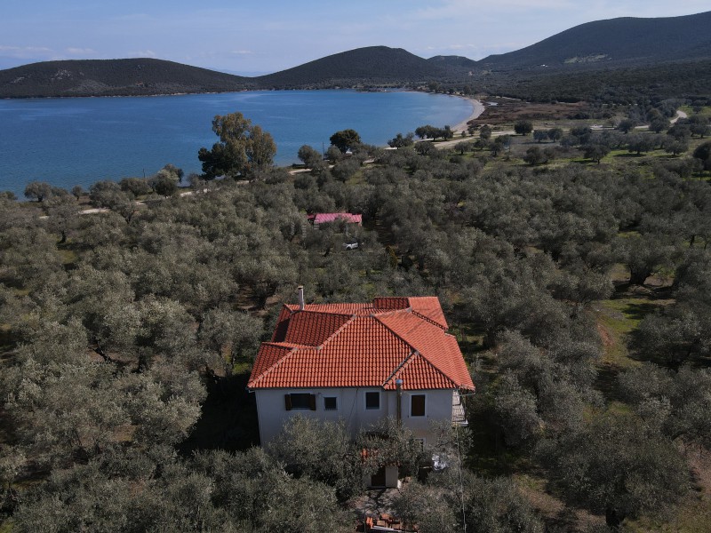 Μονοκατοικία 235 τ.μ. πρός πώληση, Μαγνησία, Σούρπη