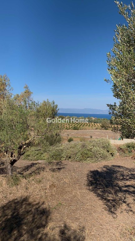 Αγροτεμάχια 15.000 τ.μ. για πώληση, Αχαΐα, Λάρισσος