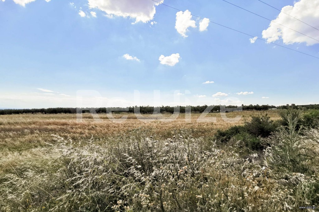 Αγροτεμάχια 8.750 τ.μ. προς πώληση, Νέα Τρίγλια