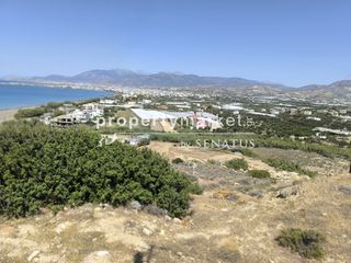 Οικόπεδο 13.643 τ.μ. για πώληση, Ν. Λασιθίου, Ιεράπετρα-thumb-1