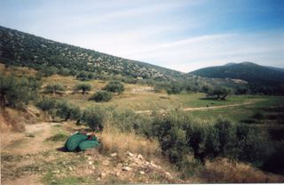 Αγροτεμάχια 42.000 τ.μ. για πώληση, Αργολίδα, Ασκληπιείο-thumb-15