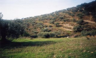 Αγροτεμάχια 42.000 τ.μ. για πώληση, Αργολίδα, Ασκληπιείο-thumb-4