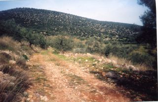 Αγροτεμάχια 42.000 τ.μ. για πώληση, Αργολίδα, Ασκληπιείο-thumb-12