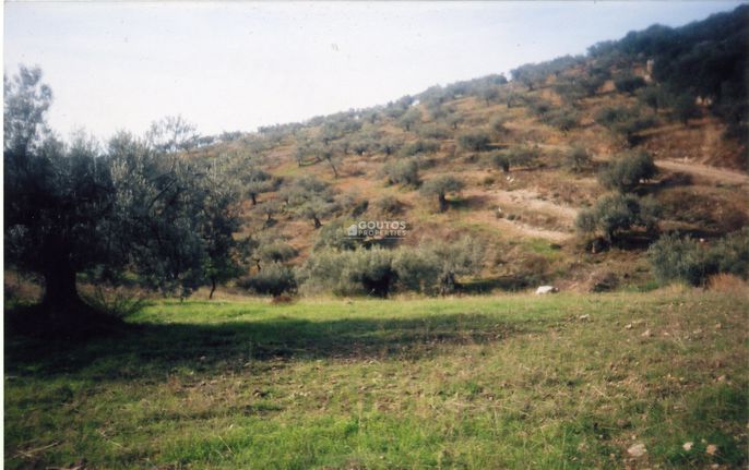 Αγροτεμάχια 42.000 τ.μ. για πώληση, Αργολίδα, Ασκληπιείο